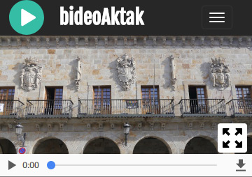 Bideoaktak